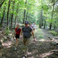 students walking in forest